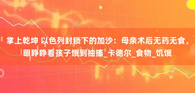 掌上乾坤 以色列封锁下的加沙：母亲术后无药无食，眼睁睁看孩子饿到抽搐_卡德尔_食物_饥饿