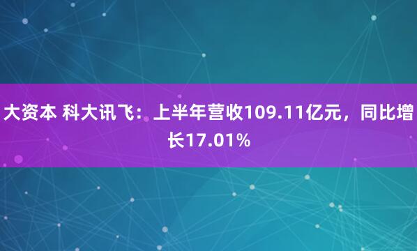 大资本 科大讯飞：上半年营收109.11亿元，同比增长17.01%