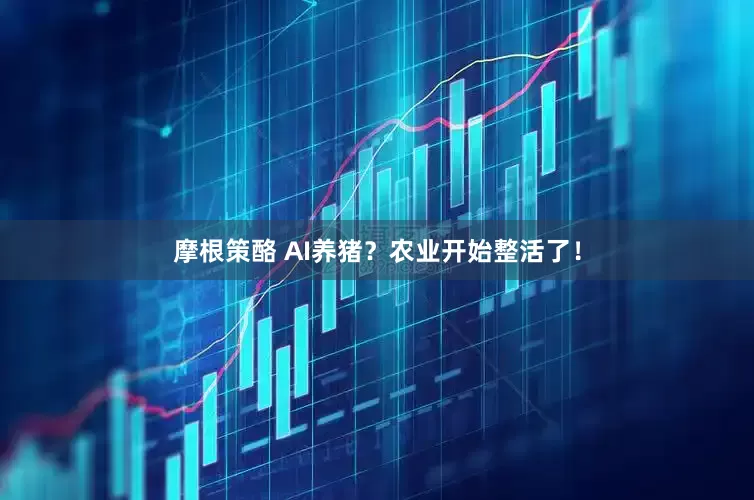 摩根策酪 AI养猪？农业开始整活了！