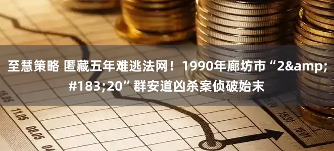 至慧策略 匿藏五年难逃法网！1990年廊坊市“2·20”群安道凶杀案侦破始末